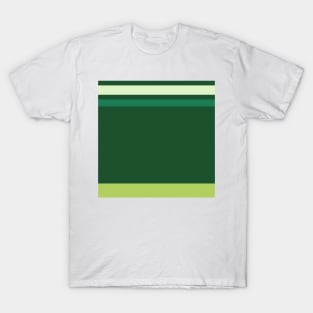 A fascinating customization of Dark Sea Green, Medium Aquamarine, Very Light Green, Pine and Light Olive stripes. T-Shirt